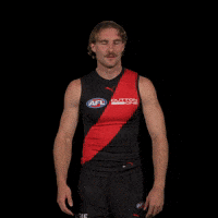 Afl Footy GIF by Essendon FC