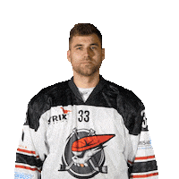 Hokej Kus Sticker by Piráti Chomutov