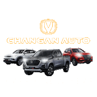 Celebration Car Sticker by CHANGAN AUTO ECUADOR