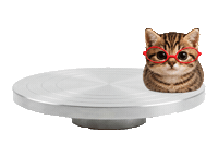 Cat Spinning Sticker