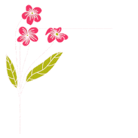 Frame Decor Sticker