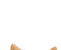 I See You Dog Love Sticker by puppytales