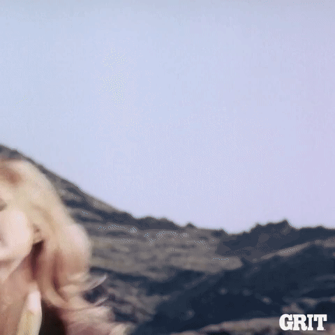 "You're not a man at all, you're a HORSE!"