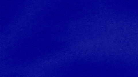 The Judge Has Spoken GIF by Jeopardy!