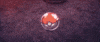 Shine Shimmer GIF by Pokémon