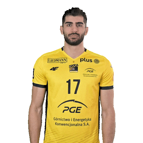 Volleyball Hello Sticker by PGE GiEK Skra Bełchatów