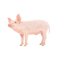 WLV_Landwirtschaftsverband farmer farming landwirtschaft mais Sticker