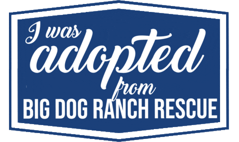 Adopted Dog Sticker by Big Dog Ranch Rescue