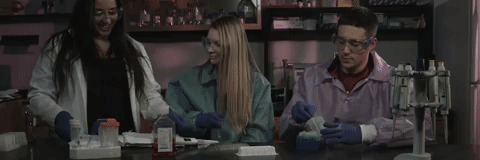 GIF by Western Illinois University