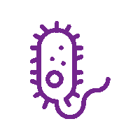 Eguzkizeid Sticker
