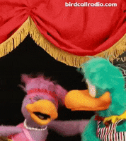 BirdCallRadio dance dancing laugh bye GIF