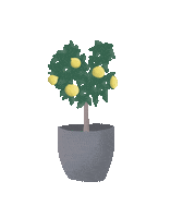 Maximeee tree plant fruit garden Sticker