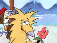 nickrewind nicksplat angry beavers GIF