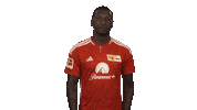 Union Berlin Spiderman Sticker by Bundesliga