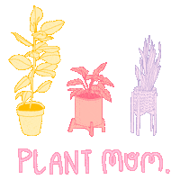 sarah_klassen_ love sticker flower flowers Sticker