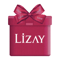lizaypirlanta  Sticker
