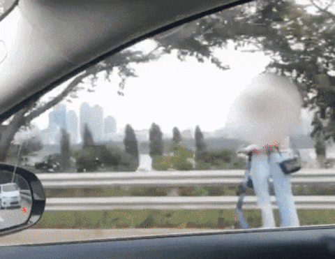 ehdgus1211 giphyupload GIF