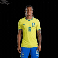 Fifa World Cup Brazil GIF by Respective