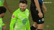 Football Celebrate GIF by VfL Wolfsburg