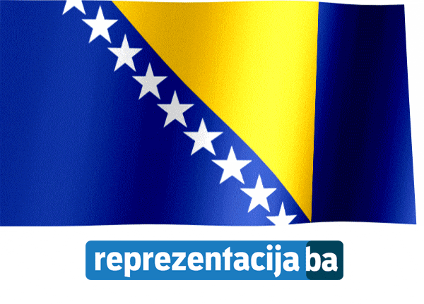 ReprezentacijaBa giphyupload bosnia dzeko bosna GIF
