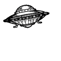 tigerenergydrink tiger tigerenergydrink tigerafteralcohol tigermax Sticker