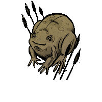 Frog Sticker