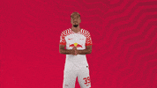 Oh Yeah Yes GIF by RB Leipzig
