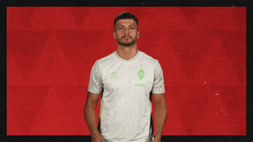 Werder Bremen Applause GIF by Bundesliga