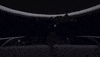Neil Degrasse Tyson GIF by cosmosontv