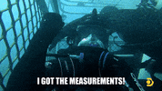 Shark Cage GIF by Shark Week
