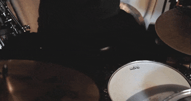 mergerecords cat modelo bob dylan titus GIF