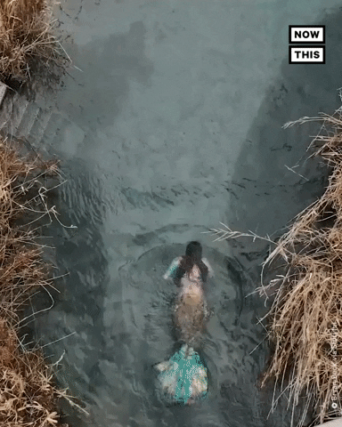 Mermaid Swimming GIF by NowThis