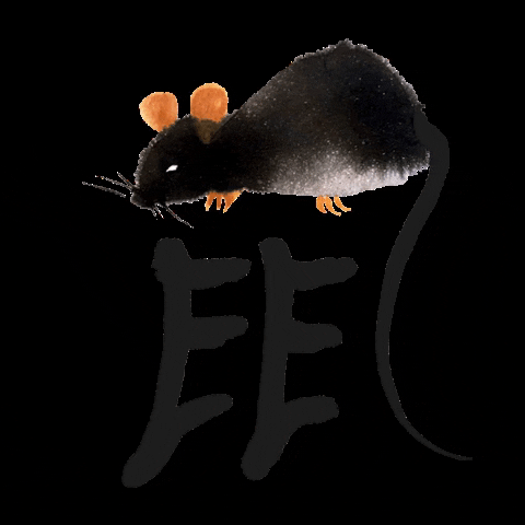 yiqihanzi giphygifmaker mouse rat chinese zodiac GIF