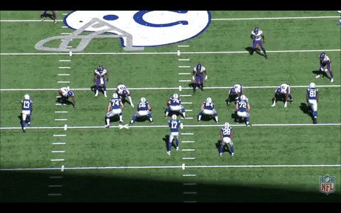 bradyvernon giphyupload GIF