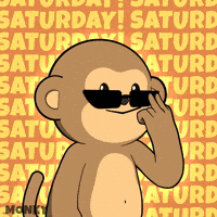 Coffee Work GIF by Wise Monkey Meme