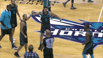 happy charlotte hornets GIF by NBA