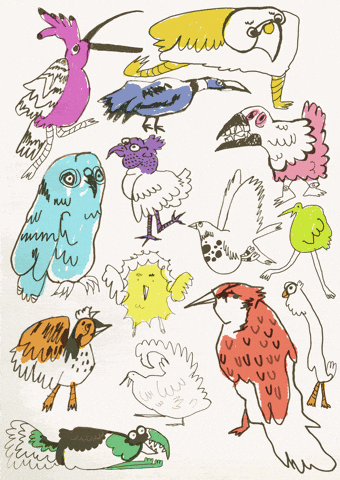 Birds GIF