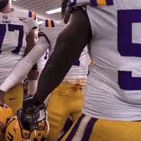 Death Valley Win GIF by LSU Tigers