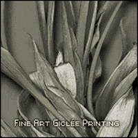 Fine Art Gap GIF by graficartprints