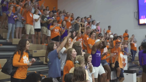 go tigers dancing GIF by Clemson Tigers
