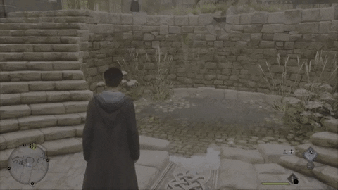 ahmadhassan62230749274948b8aef2b29d398a4f39 giphyupload GIF