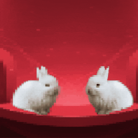 Bunnies Celery GIF