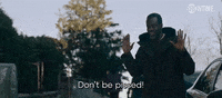 Season 1 GIF by SHOWTIME