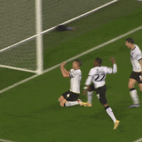 Football Celebration GIF by MillwallFC