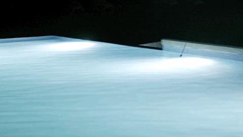 viceland GIF by JUNGLETOWN