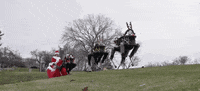 viral video christmas GIF