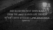 english islam GIF