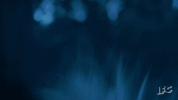 tv show horror GIF by IFC