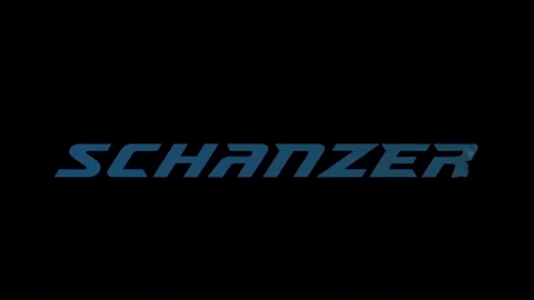 SchanzerRacing giphyupload racing race motorsport GIF