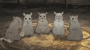 season 1 cats GIF by Animals